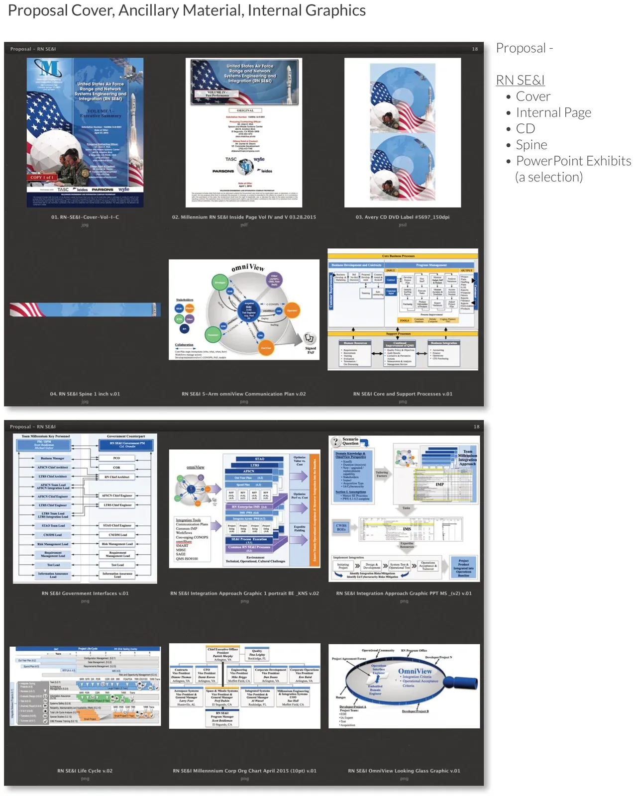 RN SE&I proposal cover, internal page, CD, spine, and PowerPoint exhibit spread